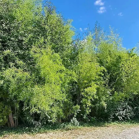 Prázdninový dům La Charmante Au Bain Nordique