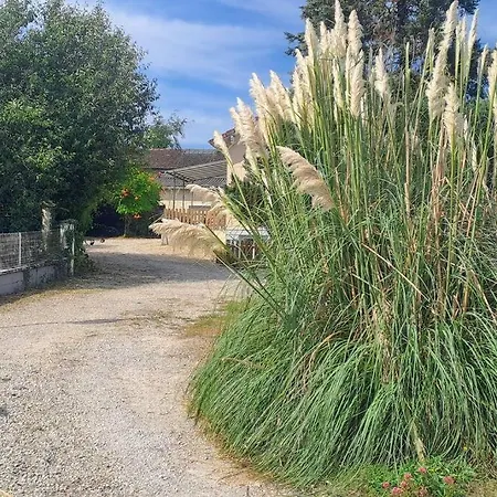 La Charmante Au Bain Nordique Holiday home Torcenay